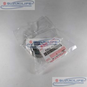 43459-65J00